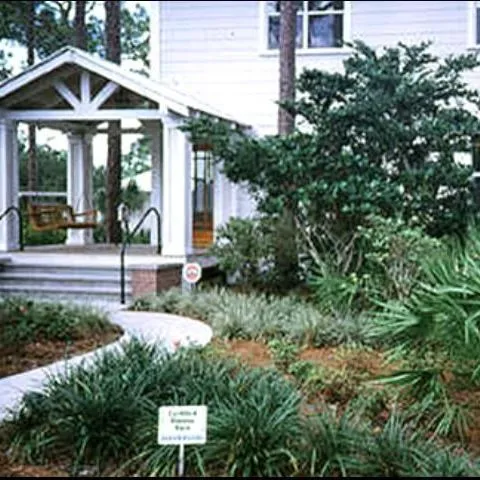 thumbnail for publication: Policies that Address Sustainable Landscaping Practices